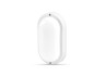 LED moisture-proof oval lamp TITANUM 12W 6500K TL-BHO-126
