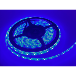 LED strip 2835-60led-8mm-12V 4.8W/m IP65 blue OEM ST