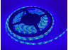 LED strip 2835-60led-8mm-12V 4.8W/m IP65 blue OEM ST