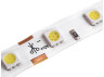 LED strip 5050-60led-10mm-12V 14.4W/m IP20 white LEDUA