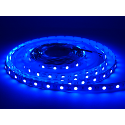 LED strip 5050-60led-10mm-12V 10W/m IP20 double board blue 2 years warranty LEDUA