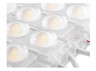 LED modules 2835-3smd 12V IP67 1.06watt with lens white (20pcs per plate) LEDUA