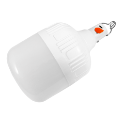 Lamp-lantern No. 5 battery 18650, with hook 10W 800LM 5V 2400mAH 6500K Mini USB 30cm, 3 modes, 105*170mm