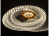 LED strip 2835-60led-8mm-12V 5.5W, IP33 neutral white 3 years warranty RISHANG