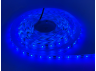 LED strip 2835-60led-8mm-12V 4.8W/m IP65 blue MTK