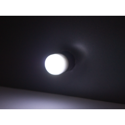 LED car lamp T10-2835-3SMD matte ceramic white 12V LEDUA