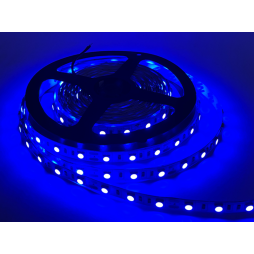 LED strip 5050-60led-10mm-12V 10W/m 12lm IP20 double board blue LMA9303