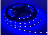 LED strip 5050-60led-10mm-12V 10W/m 12lm IP20 double board blue LMA9303