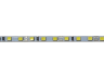 LED line 2835-72led IP20 6000K 12V 16W ​​1000mm 4mm board 2 years warranty LEDUA