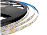 LED strip 2835-120led-8mm-12V IP20 10W/m 20-22LM/led double board CRI70 3000K (50m coil) LEDUA