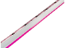 LED neon 8*16mm 120led 2835 12V 8W/m IP65 pink #55-P (coil 25m) AVT