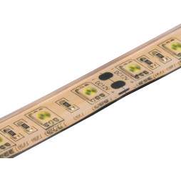LED strip 5050-60led-10mm-12V 14.4W/m IP68 white LEDUA