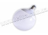 LED lamp E27 G120 12W 220V 3000k
