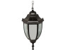 Lemanso PL5105 lamp black 20W on a chain