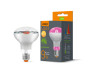 LED lamp VIDEX Filament R80FF 09W E27 1200K