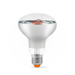 LED lamp VIDEX Filament R80FF 09W E27 1200K