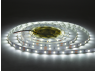 LED strip 3528-60led-8mm-12V 4.8W/m IP20 7000-8000K (AVT-300W-3528-IP20-12) (1010567) AVT