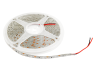 LED strip 3528-120led-12V 9.6W/m IP65 double board blue (MTK-600B-F-3528-12) MTK