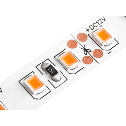 LED strip 2835-120led-8mm-12V 9.6W/m IP20 pink LEDUA