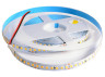 LED strip 2835-168led-10mm-24V 12W/m IP20 warm white, 2 years warranty AVT