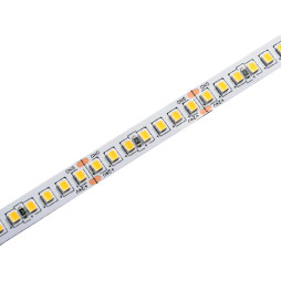 LED strip 2835-168led-10mm-24V 12W/m IP20 warm white, 2 years warranty AVT