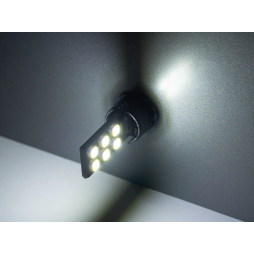 LED car lamp T10-2835-12smd white 12V LEDUA