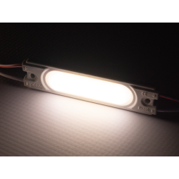 LED modules COB-1Led-WW-1.5W 70 mm warm white (1019228) #103/2 MTK