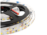 LED strip 2835-120led-8mm-12V 9W/m IP20 white V2 915LM/m ST OEM