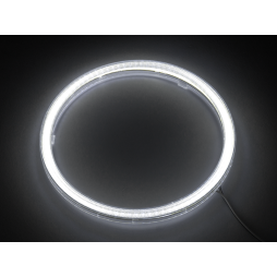 COB angel eyes with bulb diameter 120mm white 12V LEDUA