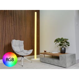 LED floor lamp round 220V 21.8W RGB 2000mm light gray housing LEDUA