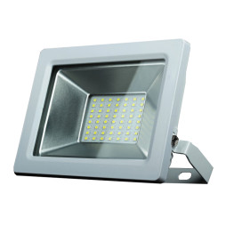 LED spotlight 50W SMD 220V lens, white