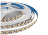 LED strip 2835-120led-8mm-5V 12W/m IP20 warm white Series "S"PROLUM