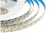 LED strip 2835-240led-10mm-12V 20W/m 22lm/led IP20 cold white 2 years warranty LEDUA