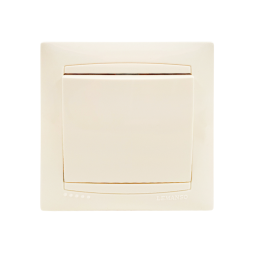 Switch 1st Sakura cream LMR1101 Lemanso