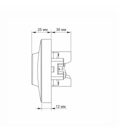 Double socket with grounding silver silk VIDEX BINERA