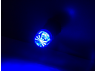LED car lamp T10-HP-1.5w floral lens blue 12V LEDUA