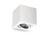 Surface-mounted swivel lamp Feron ML303 under the lamp white