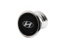 Hyundai car magnet