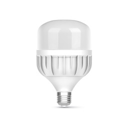 LED lamp TITANUM A138 50W E27 6500K