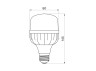 LED lamp TITANUM A80 20W E27 6500K