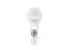 LED lamp TITANUM A60 10W E27 3000K