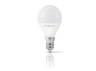 LED lamp TITANUM G45 6W E14 3000K