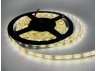 LED strip 2835-60led-8mm-12V 4.8W/m IP65 warm white OEM