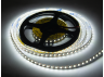 LED strip 2835-120led-8mm-5V 8W/m 500LM IP20 double board white (ST-5-2835-120-CW-20) OEM