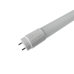 LED lamp T8 1200mm 6200k 220V glass, matte BIOM