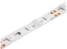 LED strip 2835-60led-8mm-12V 4.8W/m IP20 red LEDUA