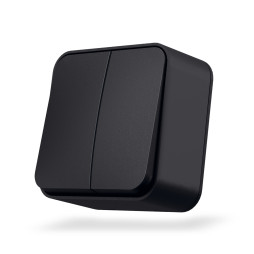 IP20 Outdoor two-button switch black graphite VIDEX BINERA