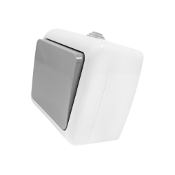 Switch surface-mounted 1st IP54 Nemo gray LMR2401 Lemanso