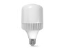 LED lamp VIDEX A118 50W E27 5000K