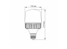 LED lamp VIDEX A118 50W E27 5000K